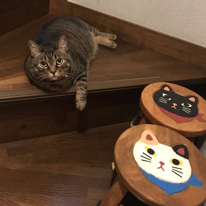 Ca300ec5 f161 4fd6 a0bb f1ed0c18045c 1592578755921