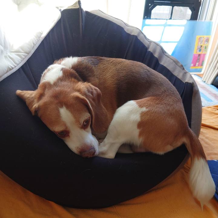 Ca305663 3811 4e7f 84f8 b94eb2e6851b 1730612532665