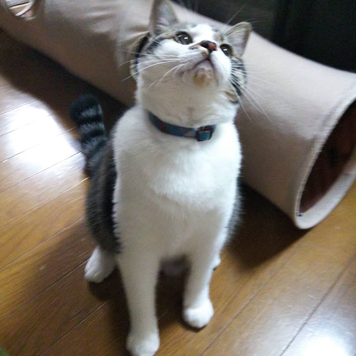 Ca3078b2 e56d 4042 8040 87414f12c789 1624662248906