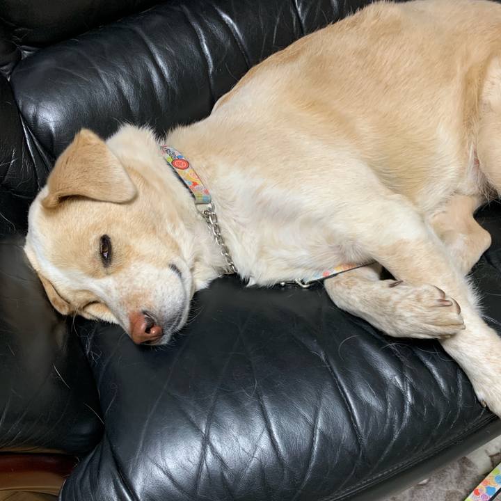 Ca308216 029c 4f5b a2a7 5e2e1358374b 1553784556399