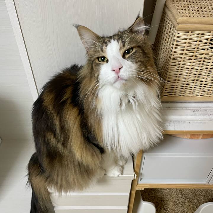 Ca308b27 d471 475c acff abfc14dd9072 1680466340699