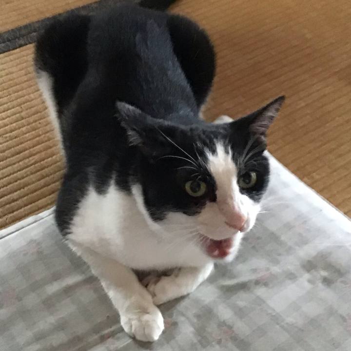 Ca30c51e d80b 4f3d 984e 6f2752f98f12 1750842386365