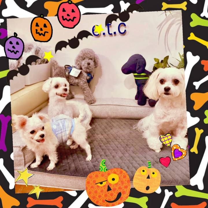 Ca30f025 bc32 41b1 a77e d8396d28571c 1632811153091