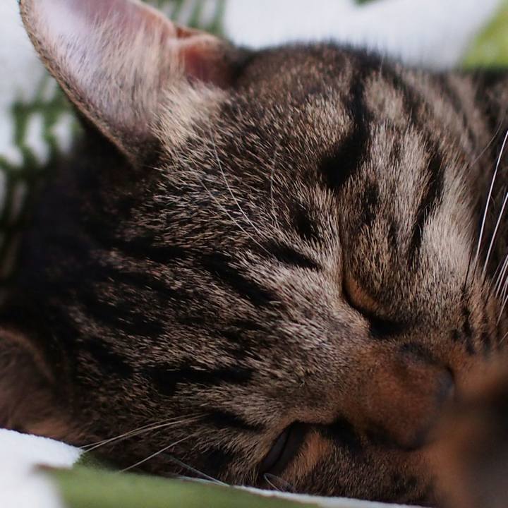 Ca30f665 51db 45af bad9 e660b0bc7509 1540601696920