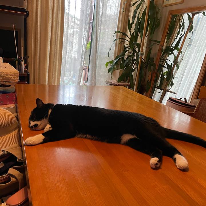 Ca312806 9d9a 43b3 ba5d 252c60f9bd86 1661487769157