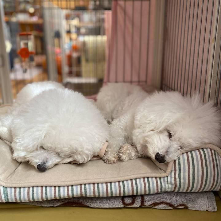 Ca315d62 1966 40ff ab3a 24197f4337d9 1612760974920