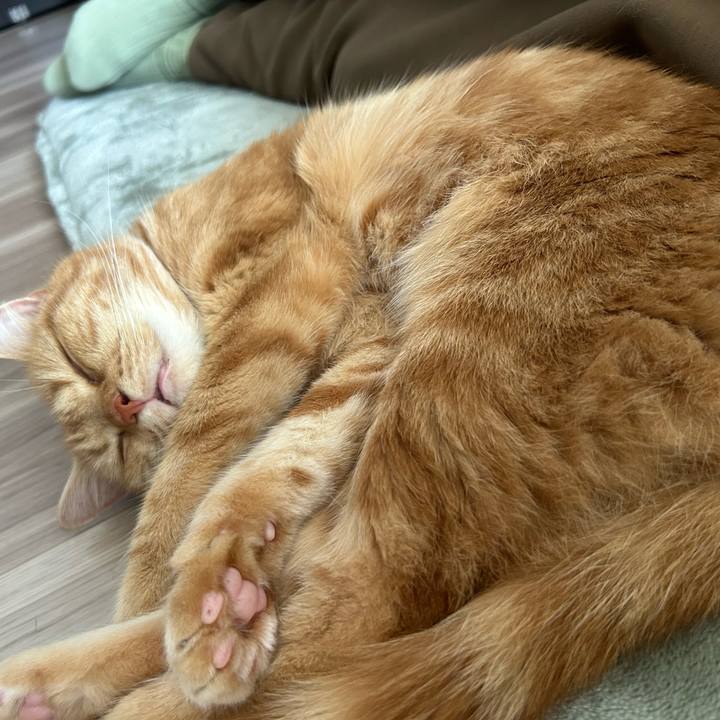 Ca318107 7e4c 479e b98f 9b140f960887 1750569624934