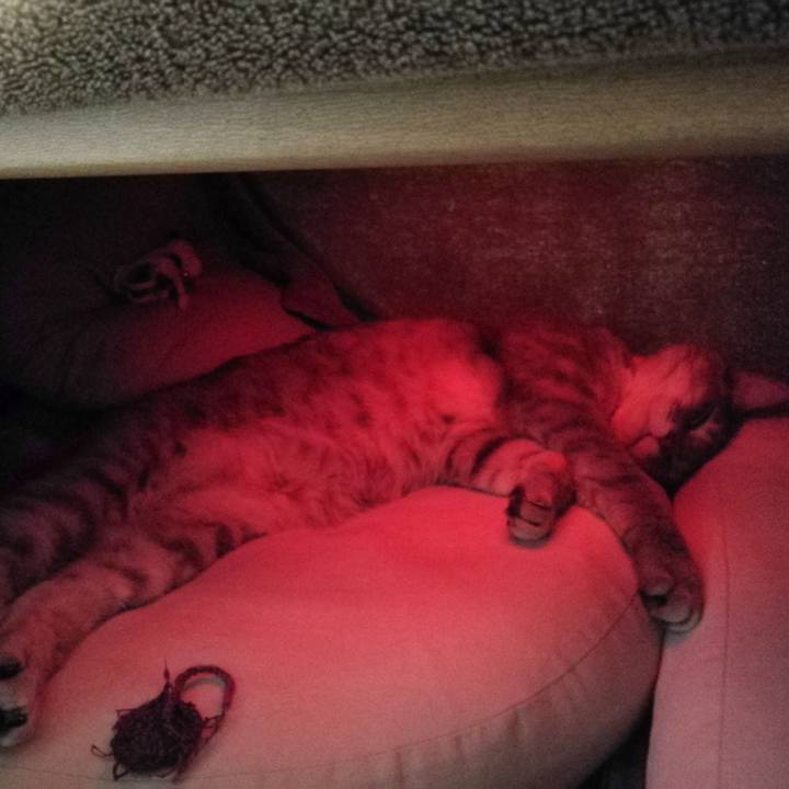 Ca31893d b437 4cc4 ae07 80e4f87d9bf5 1517567120486