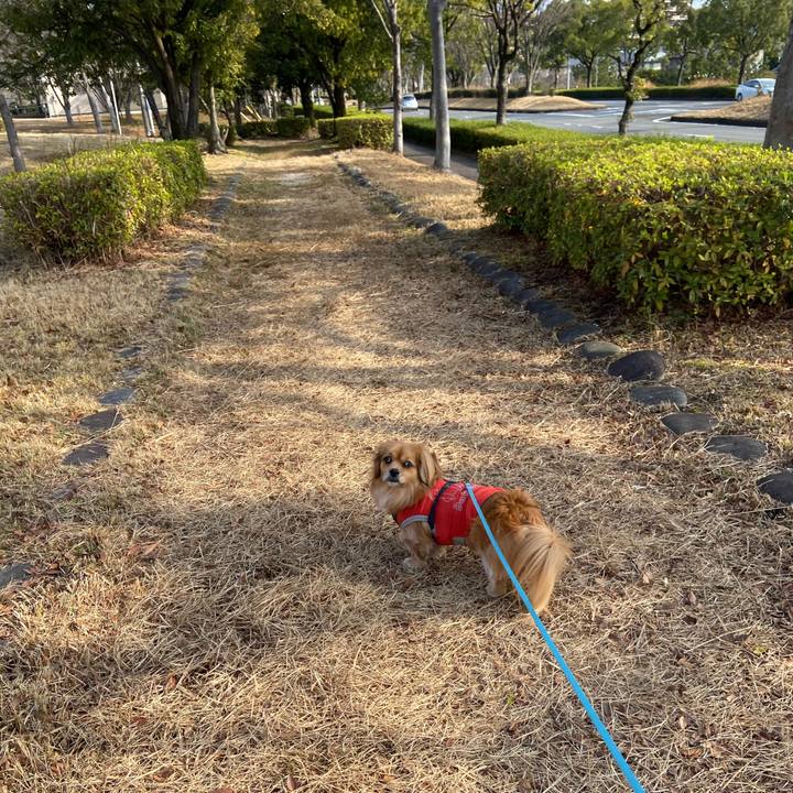 Ca31fffd 862f 4ef4 b14e 11a1511cf405 1578016794953