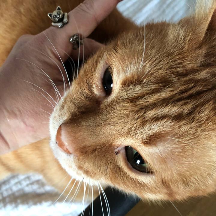 Ca324d3a 7838 4ea6 8168 dd7719591763 1641456361068