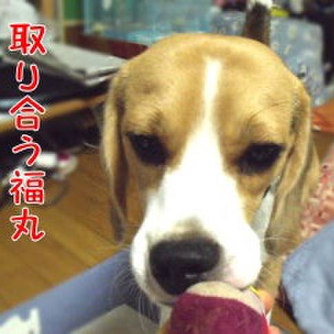 Ca325f2e 9c1e 4ede aca4 54ac48538610 1690763225609