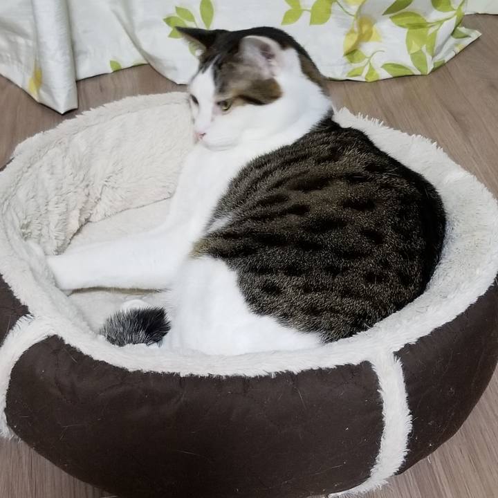 Ca32732a fb96 4be2 9564 1cf425ff5887 1611668194360