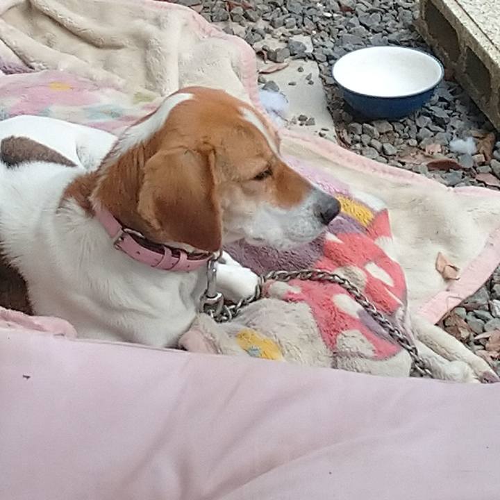 Ca32bcc3 3dbf 47b4 a963 071f506e5031 1580436488389