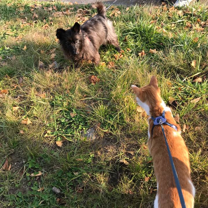 Ca32f7de 37fd 4a7b b997 1678a5164cfe 1511937796788