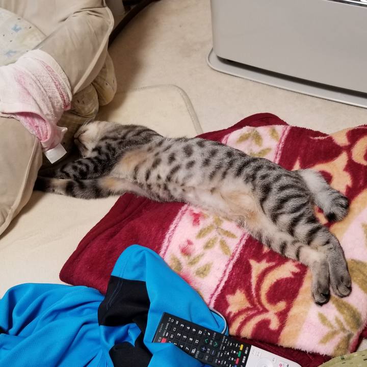 Ca331db2 a87a 4976 a532 240fe2dc4d41 1682071152934