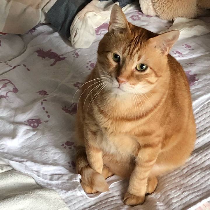 Ca332309 fe17 43cb 8bca 2615b9a3f6b8 1574827491497