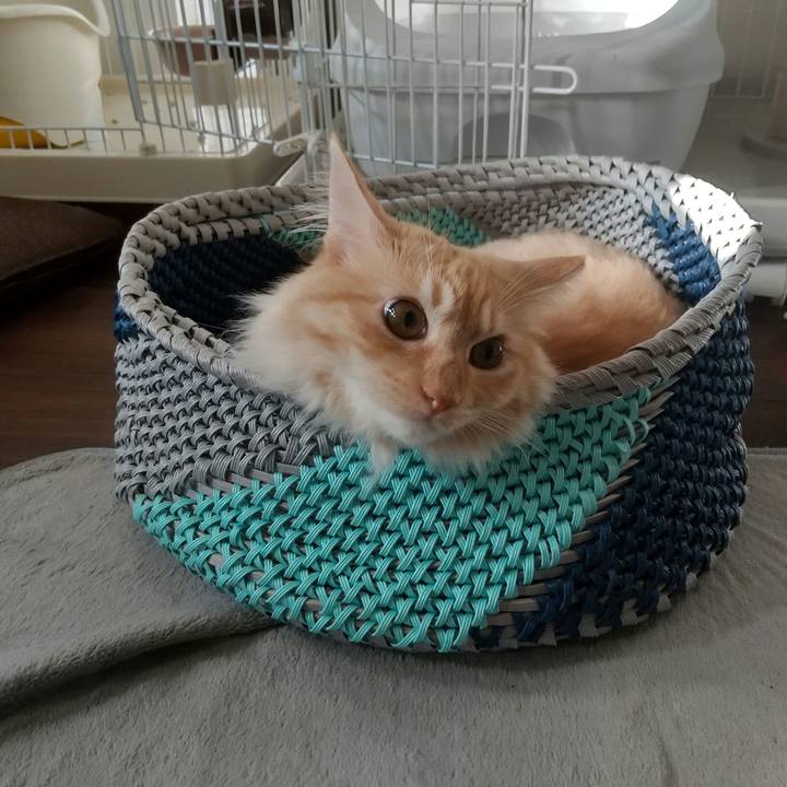 Ca332f56 fb45 441b ab1c 5545d2b585cc 1625868371589