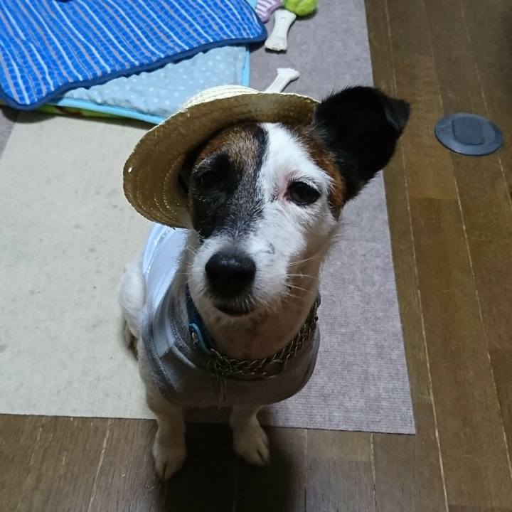 Ca334e77 572e 45fb ba77 6a6983724343 1562157962305