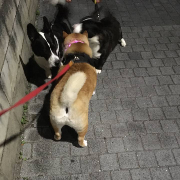 Ca336be8 ad6d 4532 90a8 26e8d3ef8f8c 1596884280321