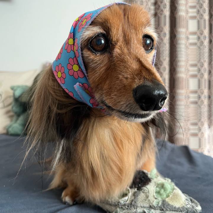 Ca339393 eb24 4398 9bc8 8539d816b1ad 1764999650224