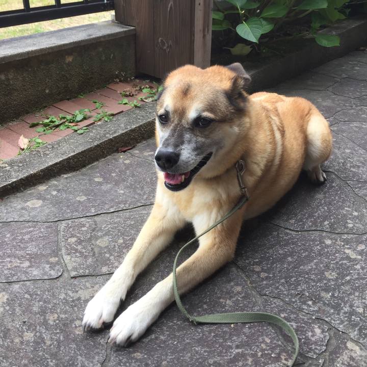 Ca339a1b eb5a 4a68 b4db 3d98654ceb27 1569320533647