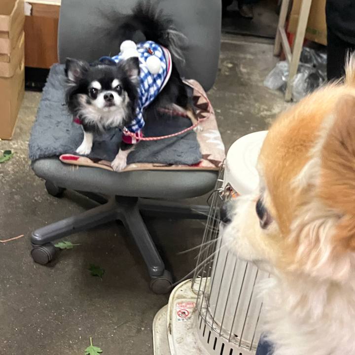 Ca33b776 6114 4f04 b6b0 4041d7de3703 1767094067591