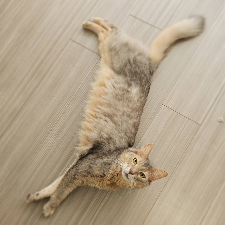 Ca33be54 6a0b 4065 bdec a0e66e24c6bf 1771651758380