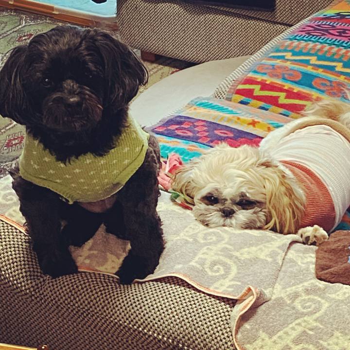 Ca33c94f c8f5 4563 9c43 e386d92101e0 1645190547777