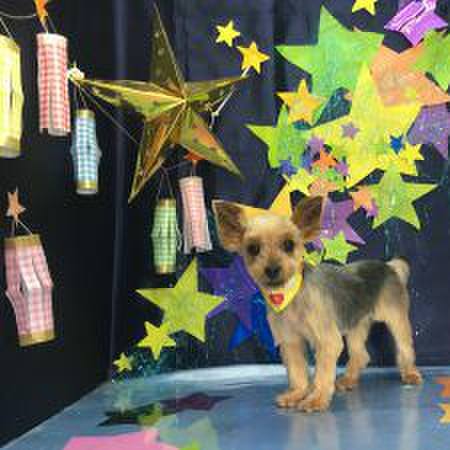 Ca33e8ce d6c6 423f 8fe2 f4ed08e23757 1562323188975