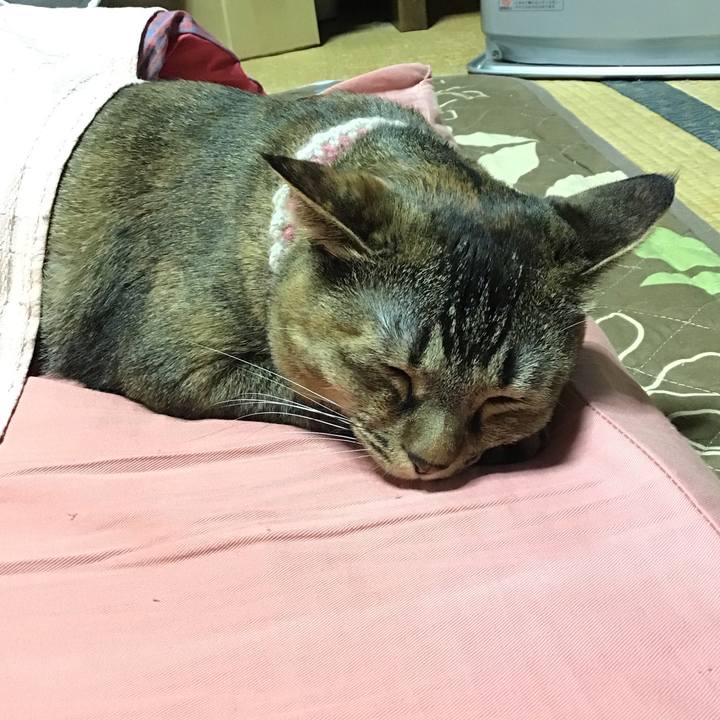 Ca33fe1b 6b75 4493 9492 785ef468fec2 1673700723790