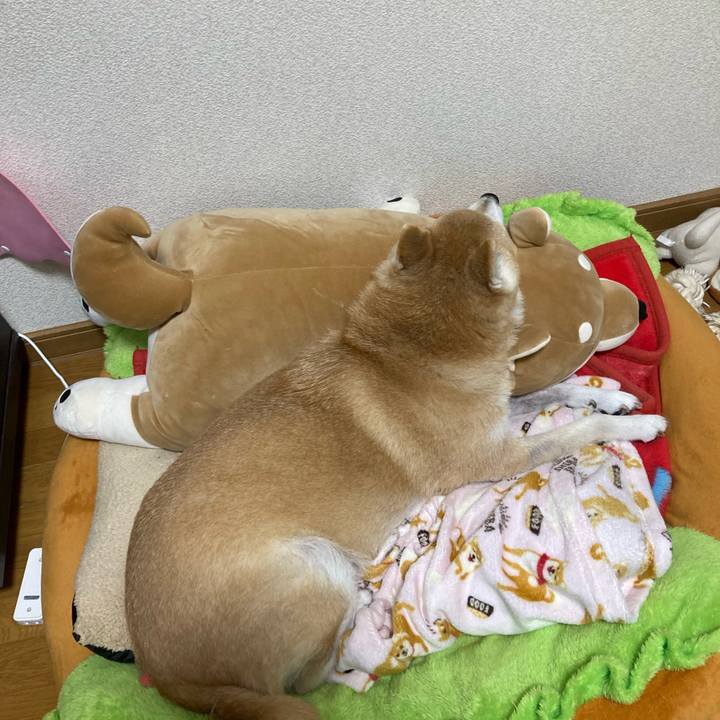 Ca342a60 4a08 4344 a4e0 322e9d714c0e 1640569831886