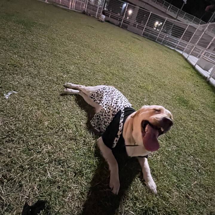 Ca342c14 fffa 4e17 bd7b 5fbc74d7e117 1663076534165