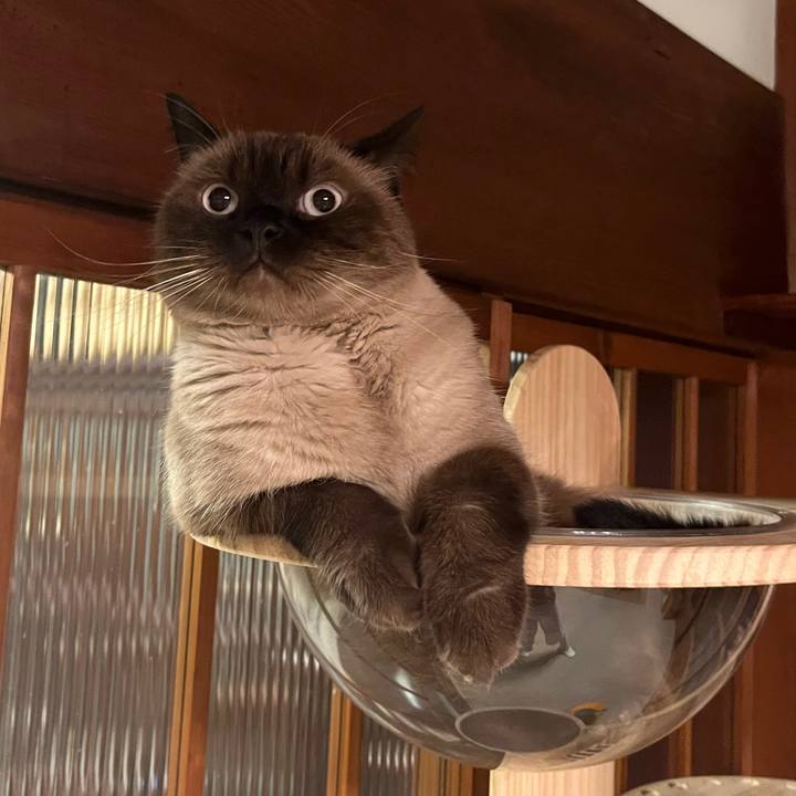 Ca3445cc 01c4 4af3 8ba1 3004fb0a23bb 1726708682317