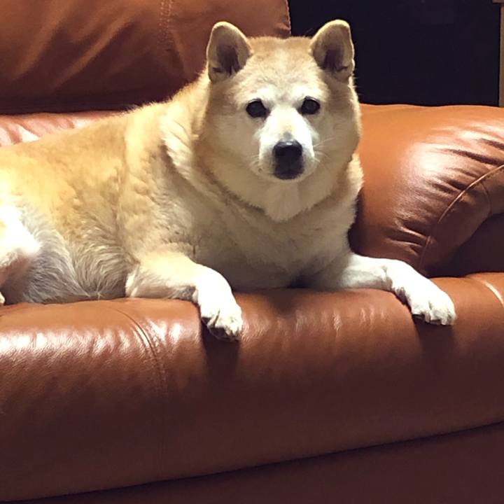 Ca3451ba db42 4fa6 953a 1db5c4b505f9 1609494559314