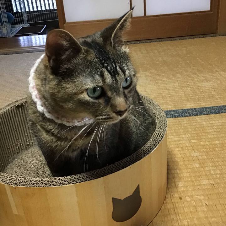 Ca345747 64b6 45f5 a4d6 b91b696f1cec 1750150197565