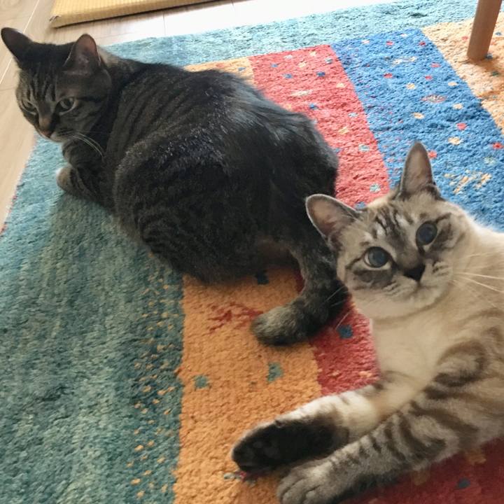 Ca347e24 52fa 49bf 837a b465fa315962 1591692957502