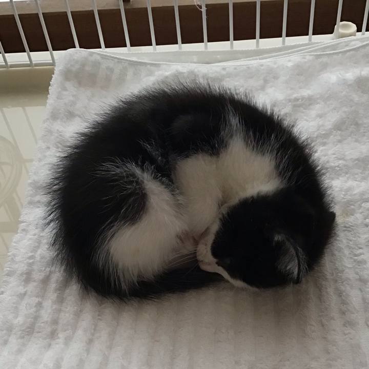 Ca34dd4a 33ae 455d 8ebb d9c3bb2dba7c 1622599103009