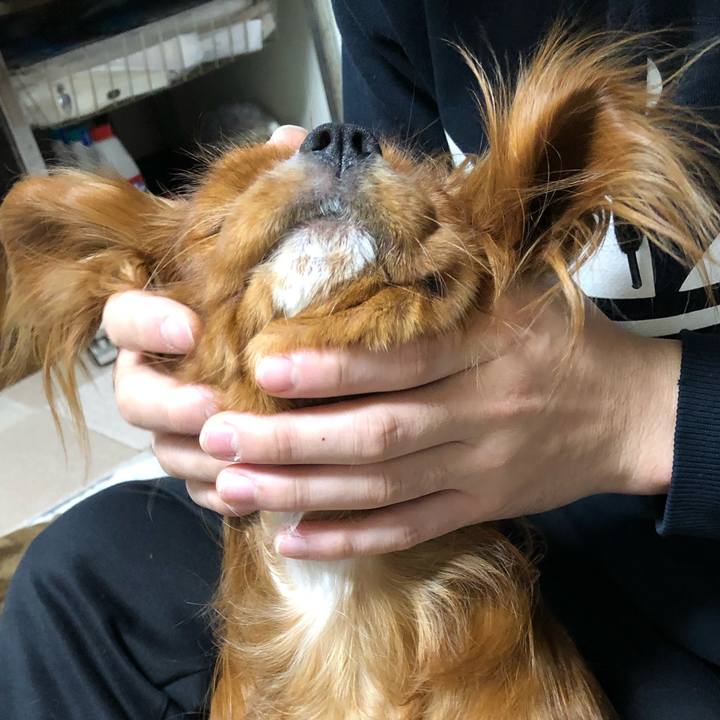 Ca34f813 44fe 471d 8e63 74cd16c4fe3d 1548109138628