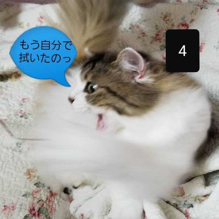 Ca34f9ac ba8a 4273 b723 a181f853eda3 1564896252234