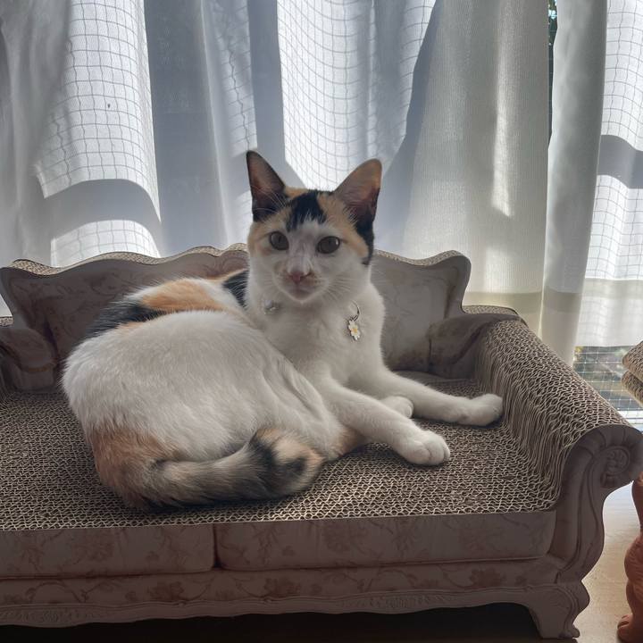 Ca35144e 14b6 4081 bc55 7d3205e42136 1672659534442