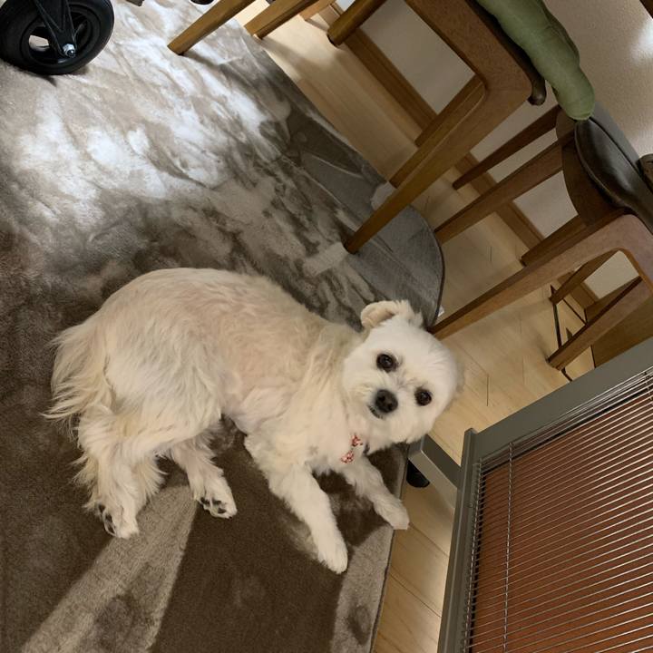 Ca354438 2eb2 40dc 8798 5d9c77cbbd63 1603698458566