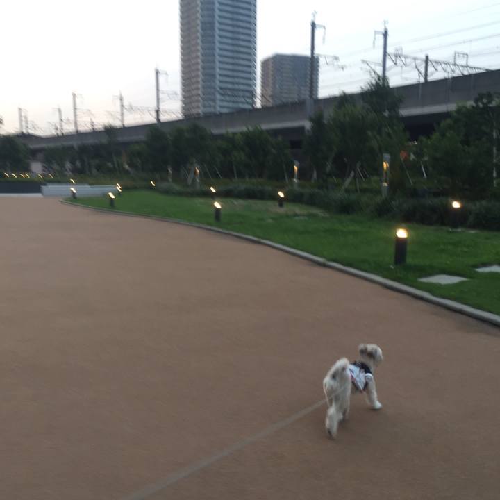 Ca359b04 3315 4737 9efe eaaea546345f 1533291712440