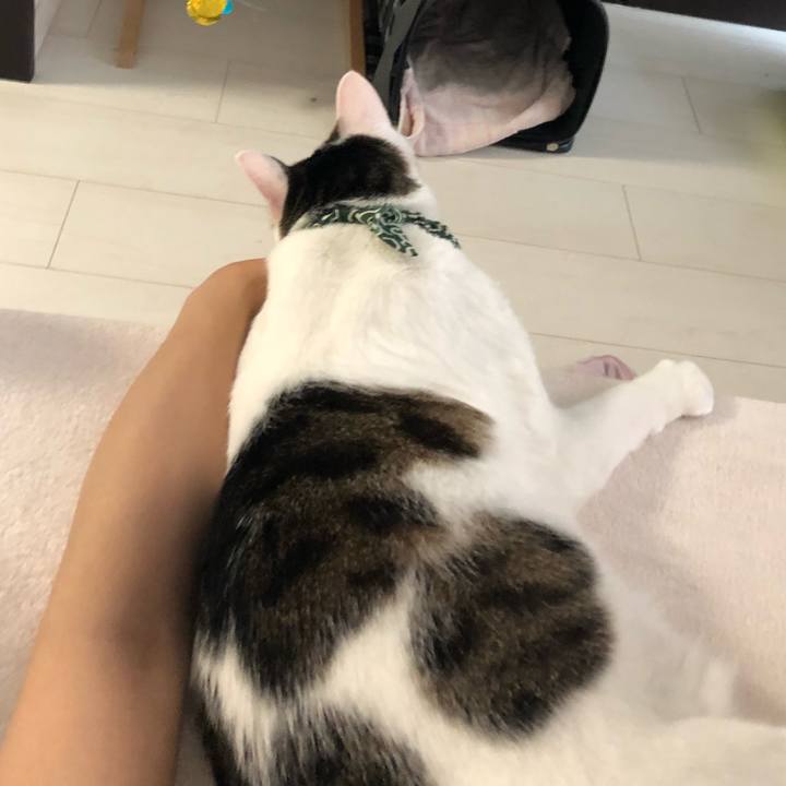 Ca35d534 5348 479e b017 5effe473c585 1534325594304