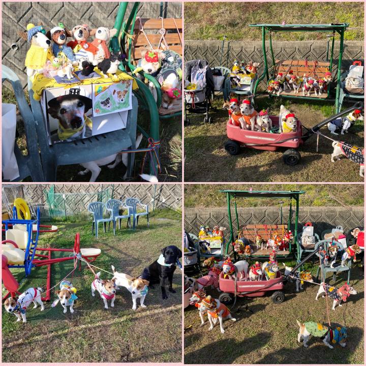 Ca35dd35 834f 406c ab5e cc2bc517e60e 1574172871502