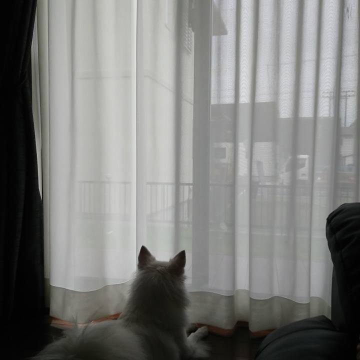 Ca35ea67 f21b 404f 8751 46d7b96d1412 1537941105999