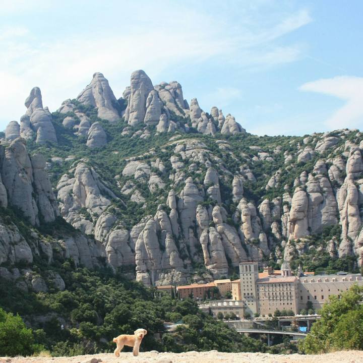 Ca360adb 622d 43e5 9e28 c4defc9f2e65 1534744242167