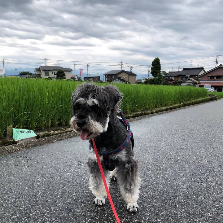 Ca36437f 329a 40a3 9b0f 237abc8f7976 1625963263276