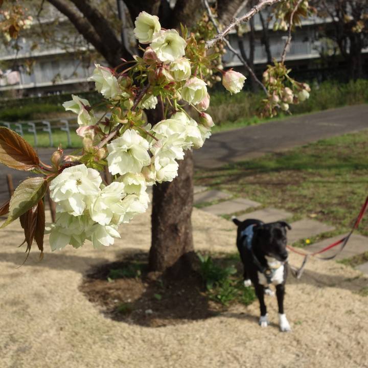 Ca366c0c d309 4e95 925a 86d190da2b30 1744073723326