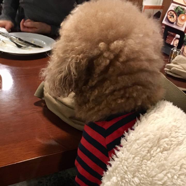 Ca367223 c9d7 4d51 a038 bfc4aacad9fc 1544538361876