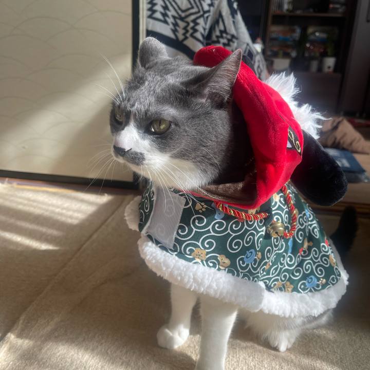 Ca367788 f90e 4663 a632 04981f012f17 1735788423612